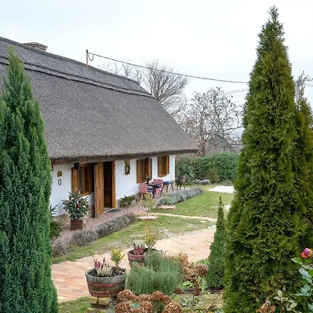 Magdolna Vendeghaz Maganszallashely Guest house Ecs